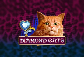 Diamond Cats